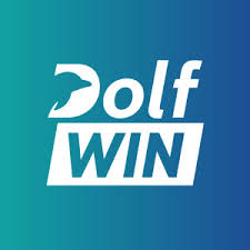 DolfWin Blue Logo